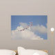 Snowbirds 431 Air Demonstration Wall Decal Design 21