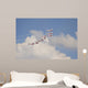 Snowbirds 431 Air Demonstration Wall Decal Design 21