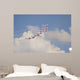 Snowbirds 431 Air Demonstration Wall Decal Design 21
