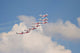 Snowbirds 431 Air Demonstration Wall Decal Design 21
