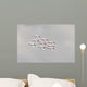 Snowbirds 431 Air Demonstration Wall Decal Design 19