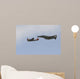 P-47 Thunderbolt and F-4 Wall Decal