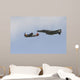 P-47 Thunderbolt and F-4 Wall Decal