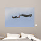P-47 Thunderbolt and F-4 Wall Decal