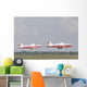 Snowbirds 431 Air Demonstration Wall Decal Design 18