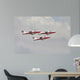 Snowbirds 431 Air Demonstration Wall Decal Design 17