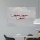 Snowbirds 431 Air Demonstration Wall Decal Design 17