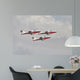 Snowbirds 431 Air Demonstration Wall Decal Design 17