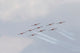 Snowbirds 431 Air Demonstration Wall Decal Design 16