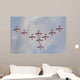 Snowbirds 431 Air Demonstration Wall Decal Design 13
