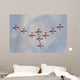 Snowbirds 431 Air Demonstration Wall Decal Design 13