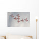 Snowbirds 431 Air Demonstration Wall Decal Design 11