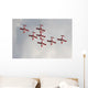 Snowbirds 431 Air Demonstration Wall Decal Design 11