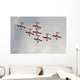 Snowbirds 431 Air Demonstration Wall Decal Design 11