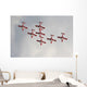 Snowbirds 431 Air Demonstration Wall Decal Design 11