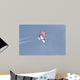 Snowbirds 431 Air Demonstration Wall Decal Design 8
