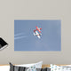 Snowbirds 431 Air Demonstration Wall Decal Design 8