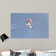 Snowbirds 431 Air Demonstration Wall Decal Design 8