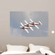 Snowbirds 431 Air Demonstration Wall Decal Design 7