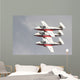 Snowbirds 431 Air Demonstration Wall Decal Design 6