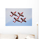 Snowbirds 431 Air Demonstration Wall Decal Design 5