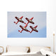 Snowbirds 431 Air Demonstration Wall Decal Design 5