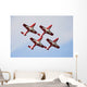 Snowbirds 431 Air Demonstration Wall Decal Design 5
