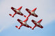 Snowbirds 431 Air Demonstration Wall Decal Design 5