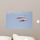 Snowbirds 431 Air Demonstration Wall Decal Design 3