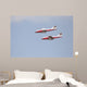 Snowbirds 431 Air Demonstration Wall Decal Design 3
