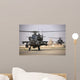 Two Ah-64 Apache Helicopters Wall Decal Design 2