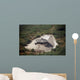 Aerial Destroyed Iraqi Ammunition Wall Decal Design 4