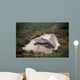 Aerial Destroyed Iraqi Ammunition Wall Decal Design 4