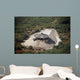 Aerial Destroyed Iraqi Ammunition Wall Decal Design 4