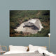 Aerial Destroyed Iraqi Ammunition Wall Decal Design 4
