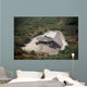 Aerial Destroyed Iraqi Ammunition Wall Decal Design 4