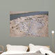 Aerial Unknown Forward Operating Wall Decal