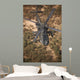 Ah-64d Apache Helicopter Flight Wall Decal Design 3