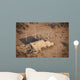 Aerial Destroyed Iraqi Ammunition Wall Decal Design 3