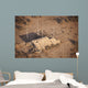 Aerial Destroyed Iraqi Ammunition Wall Decal Design 3