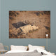 Aerial Destroyed Iraqi Ammunition Wall Decal Design 3