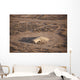 Aerial Destroyed Iraqi Ammunition Wall Decal Design 2