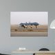 Mq-1 Predator Unmanned Aerial Wall Decal Design 3