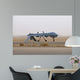 Mq-1 Predator Unmanned Aerial Wall Decal Design 3