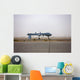 Mq-1 Predator Unmanned Aerial Wall Decal Design 2