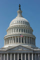 United States Capitol Building Wall Decal Design 2