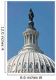 United States Capitol Building Wall Decal Design 1