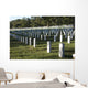 Arlington National Cemetery Arlington Wall Decal Design 4