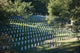 Arlington National Cemetery Arlington Wall Decal Design 2