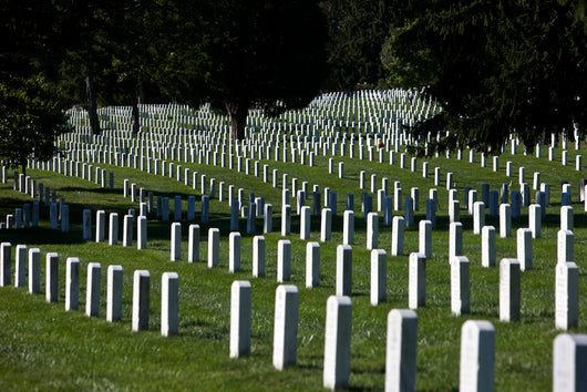 Arlington National Cemetery Arlington Wall Decal Design 1